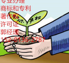 數(shù)字時代的視覺盛宴 高清圖片與網(wǎng)絡文化經(jīng)營的融合與發(fā)展